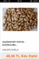 /products/tuzlu-antep-fistigi/